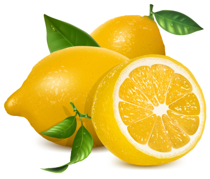 Fresh yellow lemon vector material
