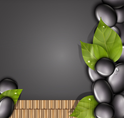 Black pebbles and leaves background vector