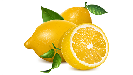 Fresh yellow lemon vector material
