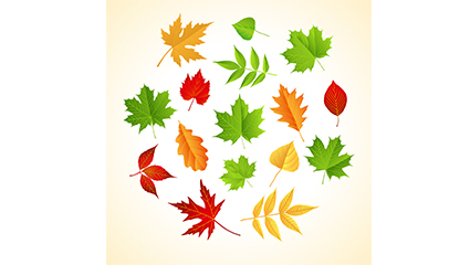 Color leaf design vector material