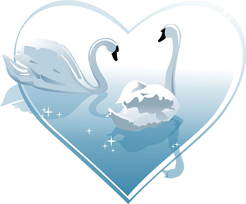 White Swan Vector