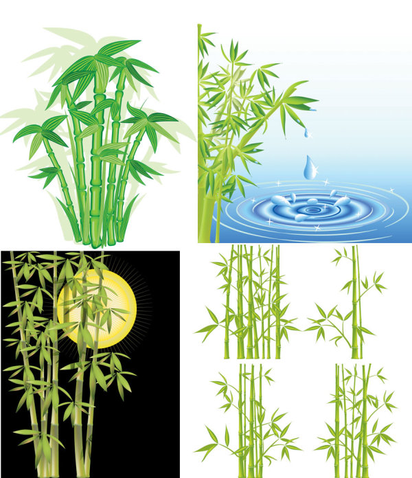 Bamboo Vector