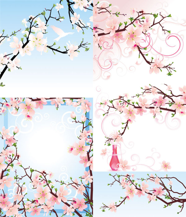 Beautiful peach - vector