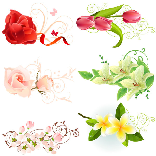 Beautiful flowers - vector material