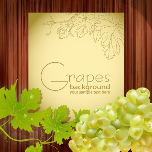 Cartoon grapes 04-- vector material