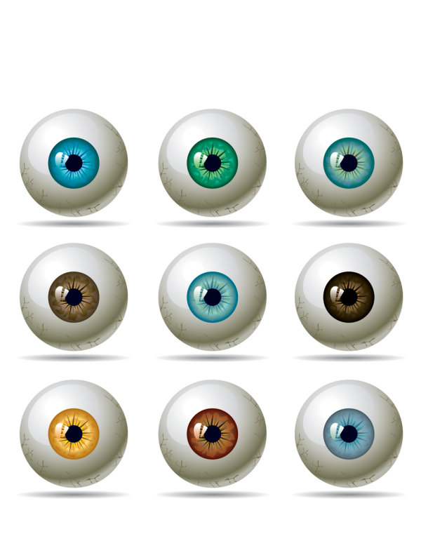 A variety of eye pupil - vector