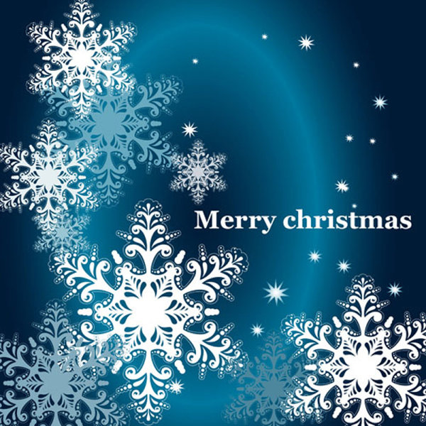 Beautiful snowflake pattern background 02 - vector material