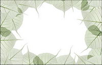 Leaves the composition of decorative side picture material