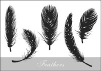 Realistic feather silhouette vector