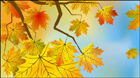 Beautiful maple leaf background 03 - vector