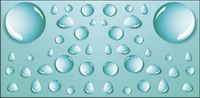 Vector water drops