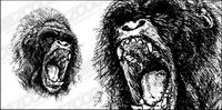 Ferocious gorilla vector material