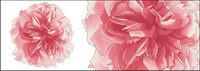 Hand-painted flowers layered material psd-2