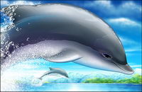 Cool jumping dolphins psd layered material