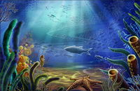 Underwater World - starfish, hippocampus, fish, seaweed psd layered material