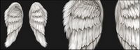 Cool wings psd layered material