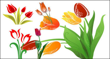 Tulip vector material