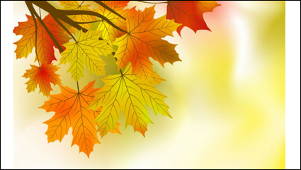 Beautiful Maple Leaf Background 01 - Vector