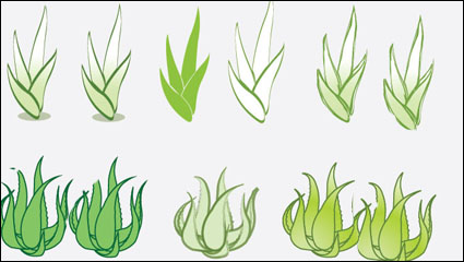 Aloe vector material