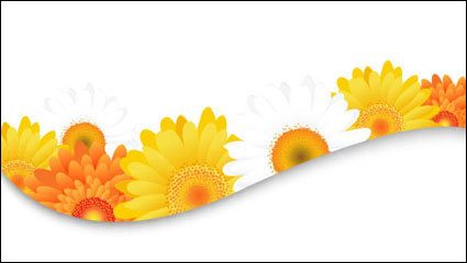 Flowers petals lace background 03 - vector material