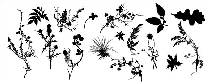 Vector plant in Pictures